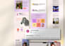 design and write your creative portfolio